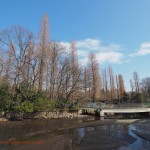 井の頭公園 水生園方面